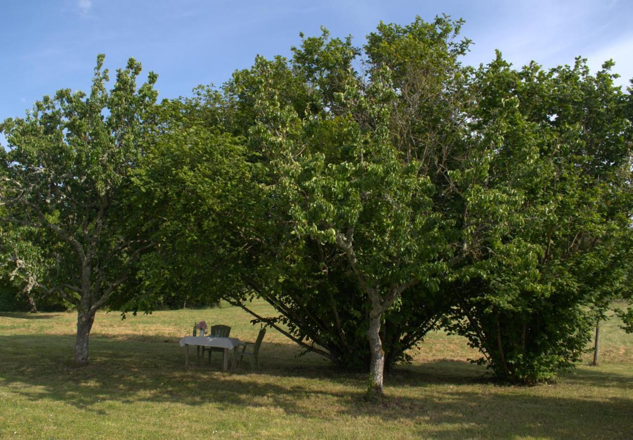 Pomport Perigourdine Avec Spa Et Vue מראה חיצוני תמונה